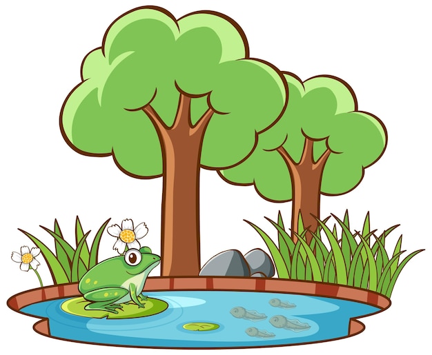 연못에 의해 개구리의 고립 된 그림