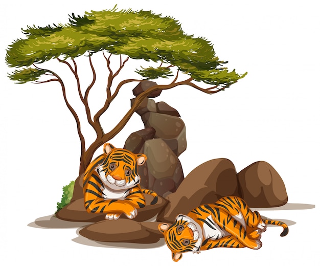 Изолированное изображение двух тигров под деревьями