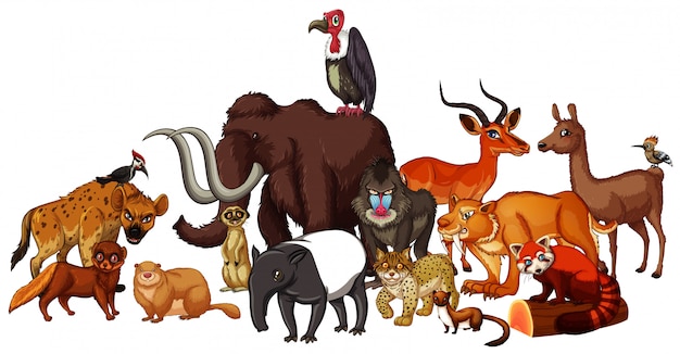 Бесплатное векторное изображение Изолированная картина диких животных