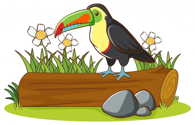 Free vector isolated picture of toucan on the log