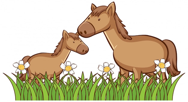 Free vector isolated picture of two horses