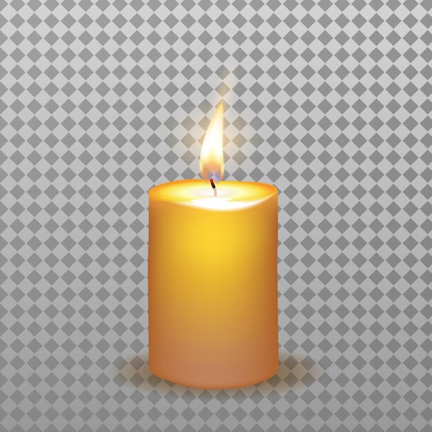 Isolated realistic burning candle with flame vector