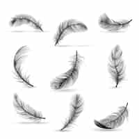 Free vector isolated and realistic feather black icon set feather slowly falling down