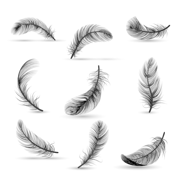 Isolated and realistic feather black icon set feather slowly falling down