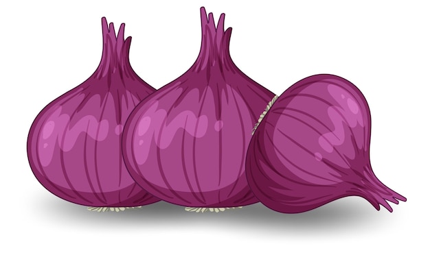 Free vector isolated red onion cartoon