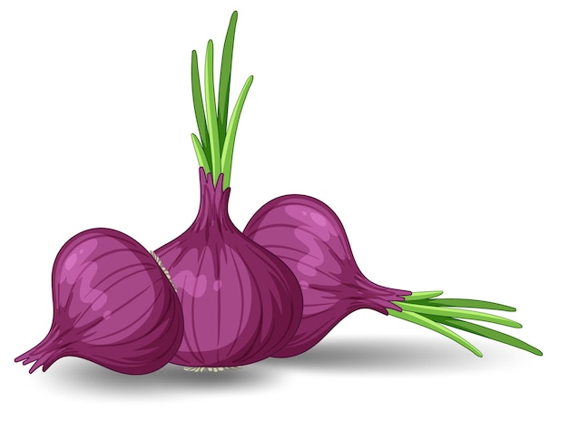 Free vector isolated red onion cartoon