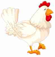 Free vector isolated rooster cartoon