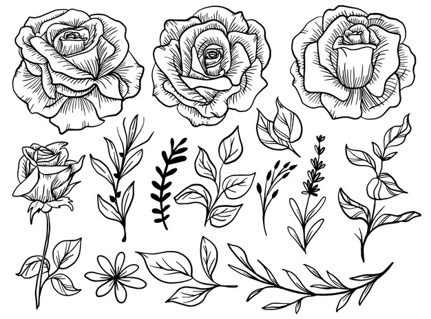 Isolated Rose Flower Line Art with Leaf Clipart