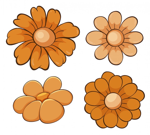 Free vector isolated set of flowers in orange