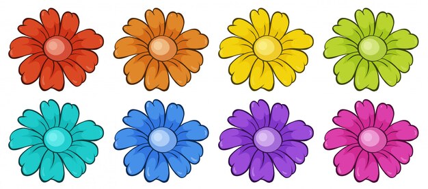 Isolated set of flowers