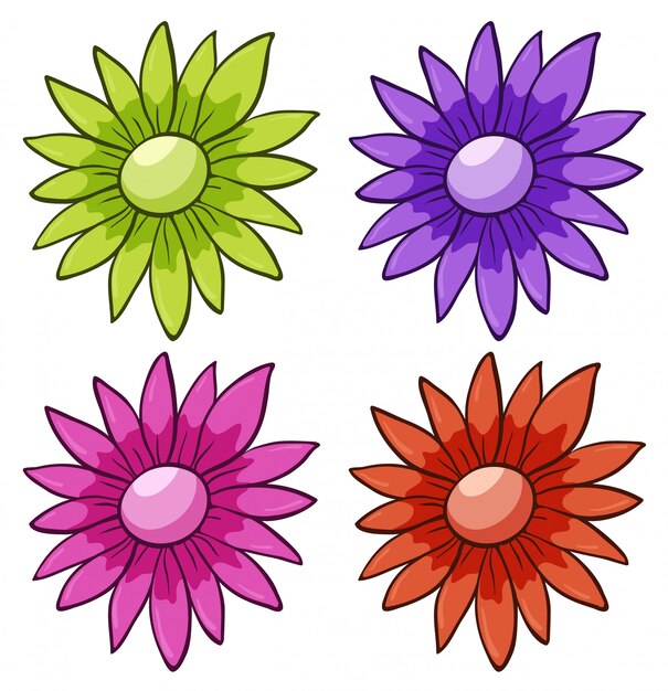 花の孤立したセット