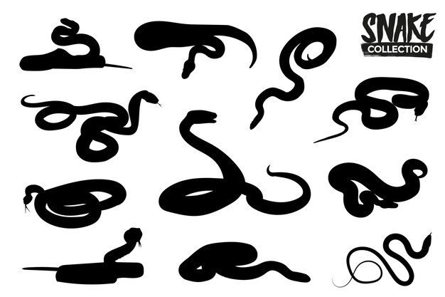 ヘビ 画像 無料のベクター ストックフォト Psd