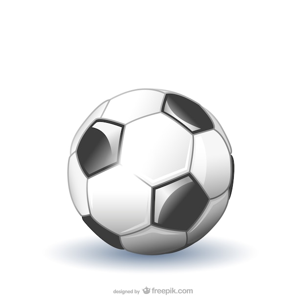 Isolated soccer ball vector