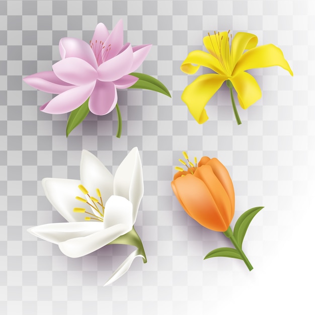 Free vector isolated spring flowers with transparent background