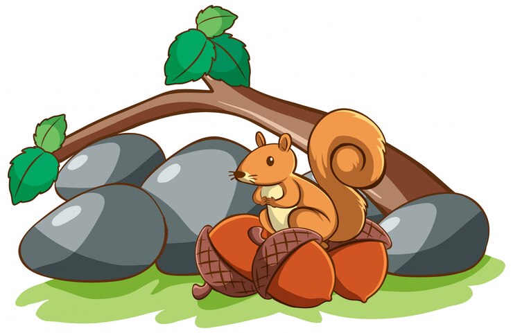 Free Vector isolated squirrel and nuts