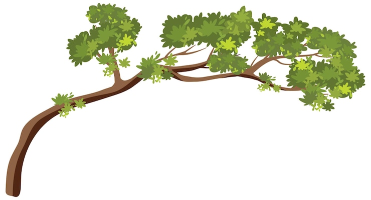 Free Vector isolated tree branch on white background