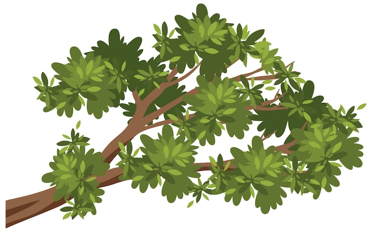 Free Vector isolated tree branch on white background