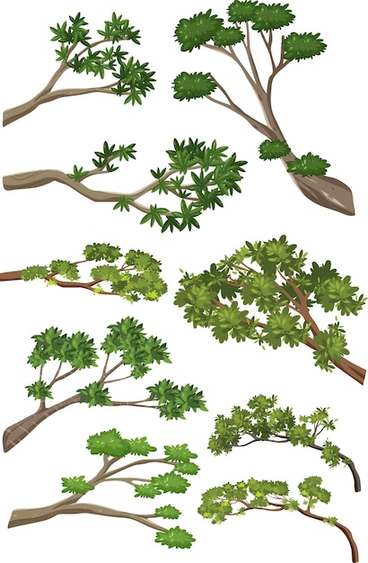 Vettore gratuito rami di albero isolati su sfondo bianco
