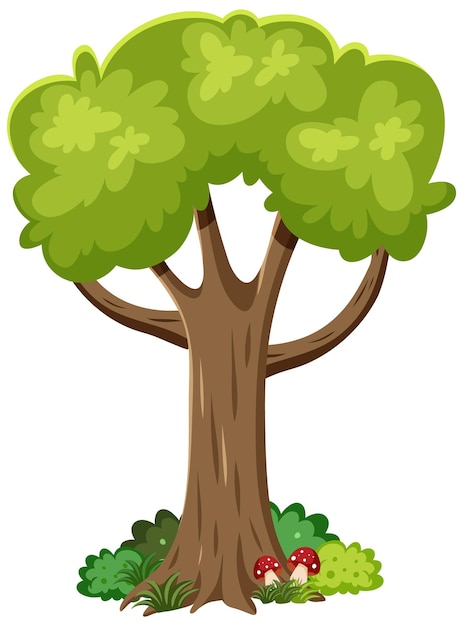 Free vector isolated tree on white background