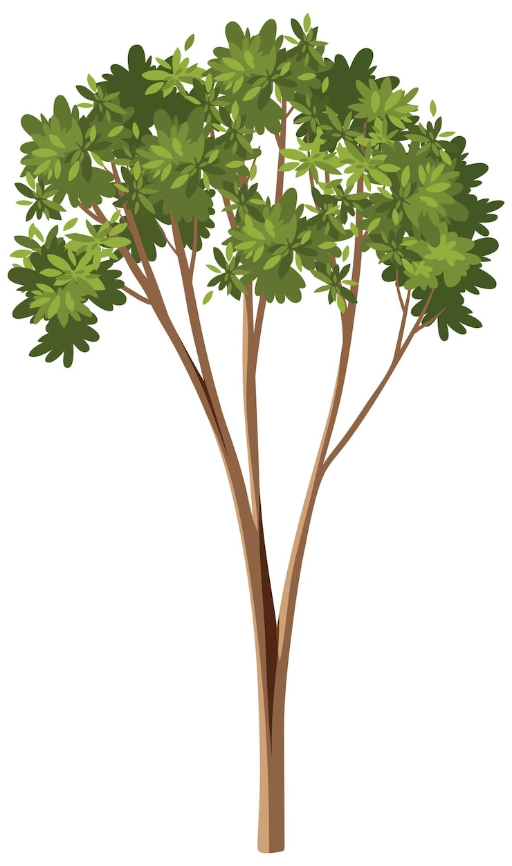Free Vector isolated tree on white background
