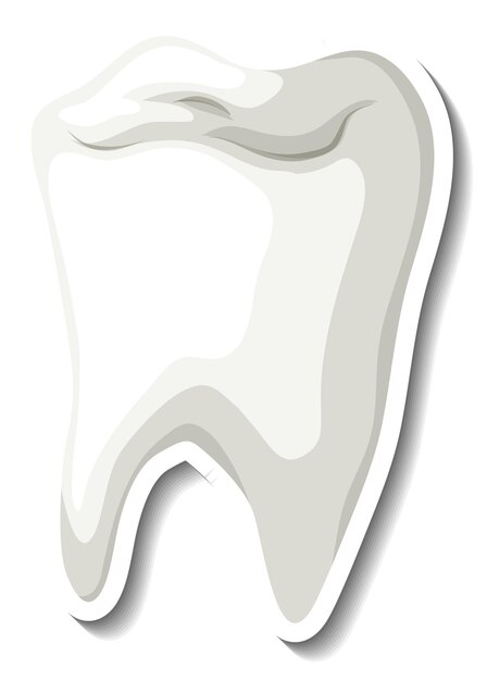 白い背景の上の孤立した白い歯