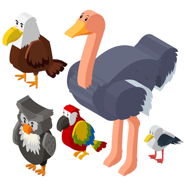 Free vector isometric animals collecti