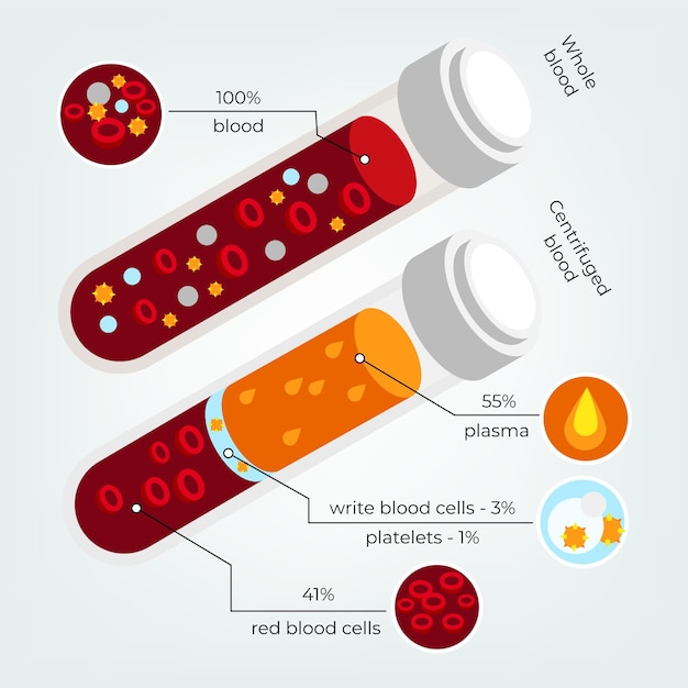 Vettore gratuito infografica sangue isometrica