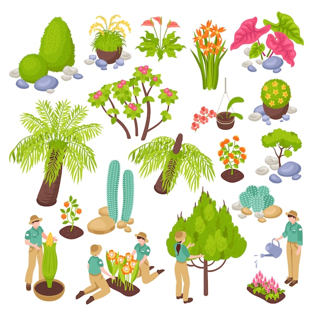 Isometric botanical garden greenhouse set with isolated s of various plants trees and flowers with people 