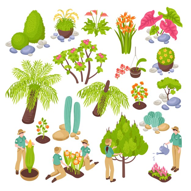 Изометрические ботанический сад оранжерея с изолированными с различных растений деревьев и цветов с людьми