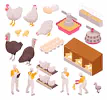 Бесплатное векторное изображение Изометрическая птицефабрика по производству цыплят с изолированными изображениями человеческих рабочих и яиц сельскохозяйственных животных