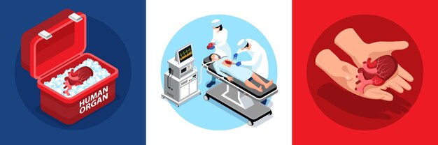 Isometric donor human organs round compositions