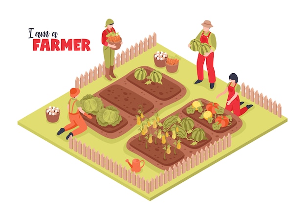 Изометрические фермы и иллюстрации фермеров