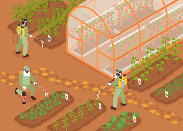 Изометрическая концепция борьбы с вредителями на ферме с рабочими, распыляющими векторную иллюстрацию сада