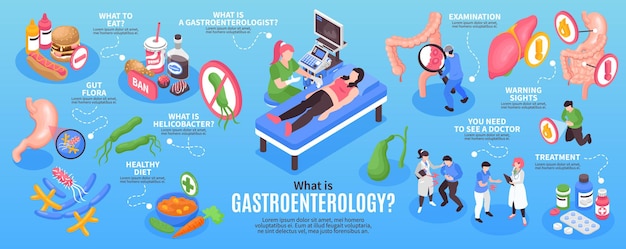 Free vector isometric gastroenterology infographic set with what to eat gut flora healthy diet examination treatment and other descriptions
