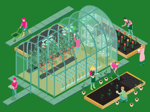 Free vector isometric greenhouse illustration