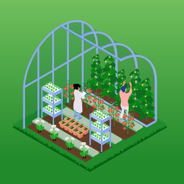 Isometric greenhouse illustration