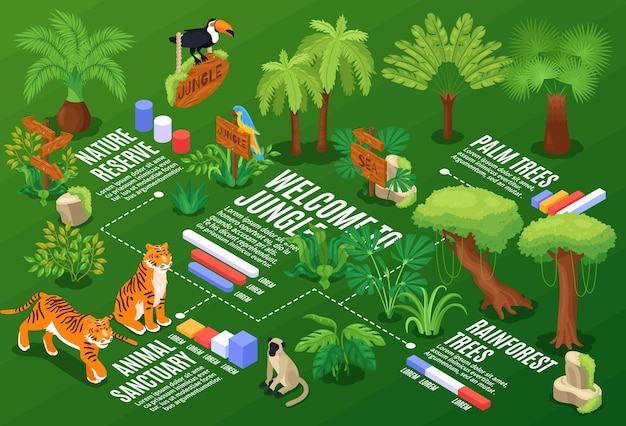 isometric jungle horizontal composition with flowchart graphs and text captions with exotic plants and wild animals