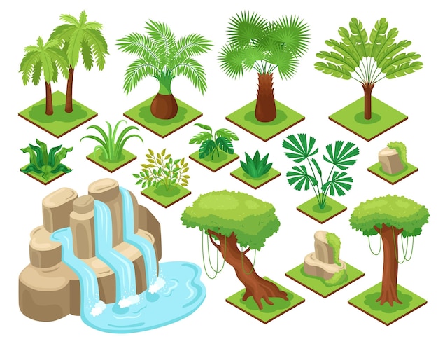 Изометрические джунгли с изолированными элементами местности джунглей с деревьями и растениями на пустой векторной иллюстрации фона