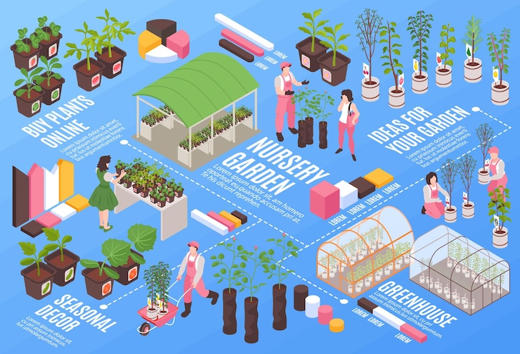 Free Vector isometric nursery garden flowchart with plants growing and selling vector illustration