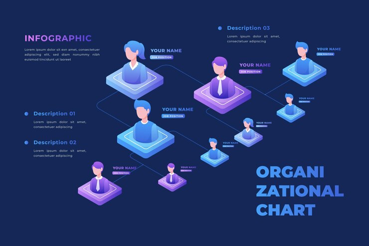 Free Vector isometric organizational chart infographic