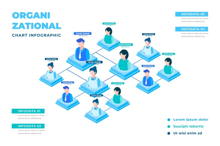 Free Vector isometric organizational chart infographic