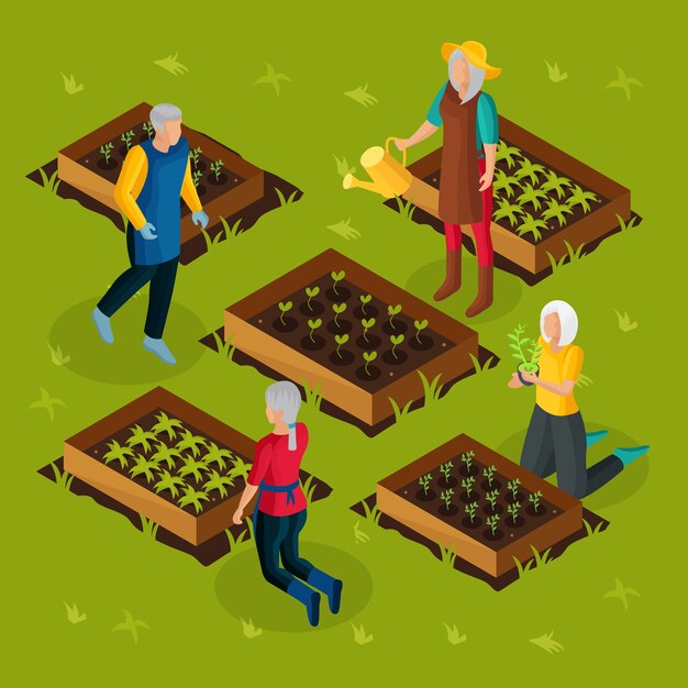 Isometric pensioners working in garden template with retired people growing and cultivating different plants vegetables