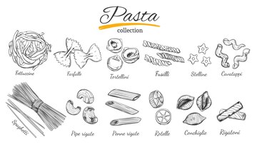 イタリアのパスタコレクション さまざまな種類のパスタ 手描きイラスト プレミアムベクター