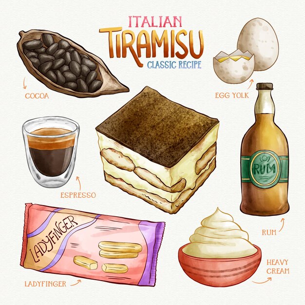 Italian tiramisu delicious watercolour recipe