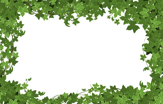직사각형 그림과 나뭇가지와 잎 그림으로 둘러싸인 빈 공간이 있는 아이비 등반 식물 프레임 구성