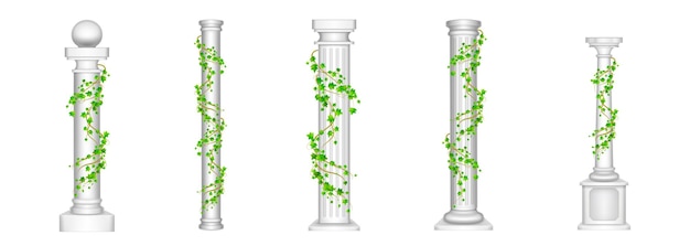 Ivy columns, antique pillars with green climbing liana plant leaves on white