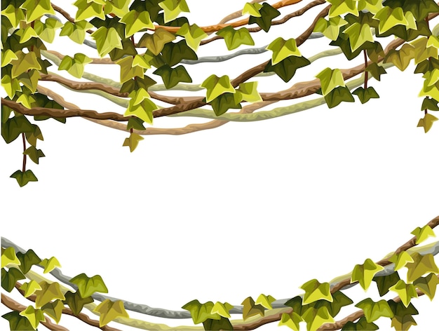 Ivy frame Liana branches and tropical leaves