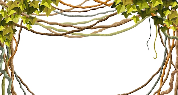 Free vector ivy frame liana branches and tropical leaves