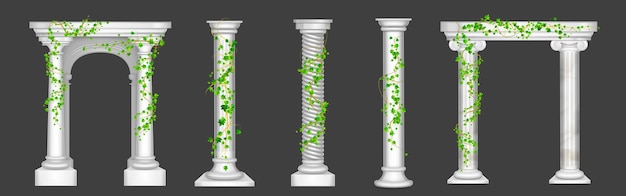 Ivy on marble columns and arches vines with green leaves climbing on antique stone pillars