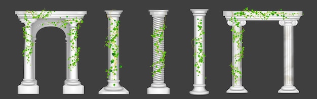 Плющ на мраморных колоннах и арках, виноградные лозы с зелеными листьями, взбирающиеся на старинные каменные столбы